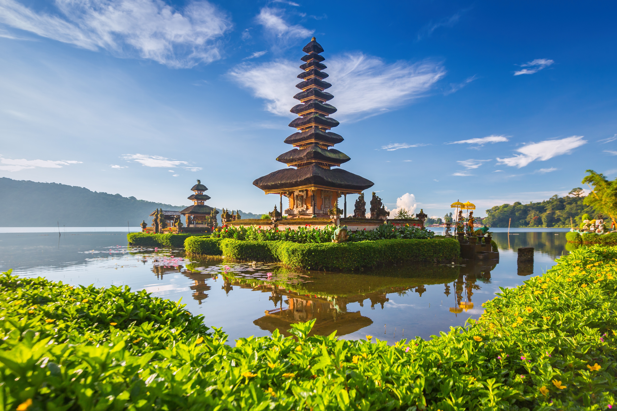 Bali new for web home